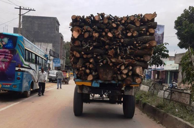 ನಿಲ್ಲದ ಮರಗಳ ಮಾರಣ ಹೋಮ : ಅಧಿಕಾರಿಗಳ ಮೌನವೆಕೆ?