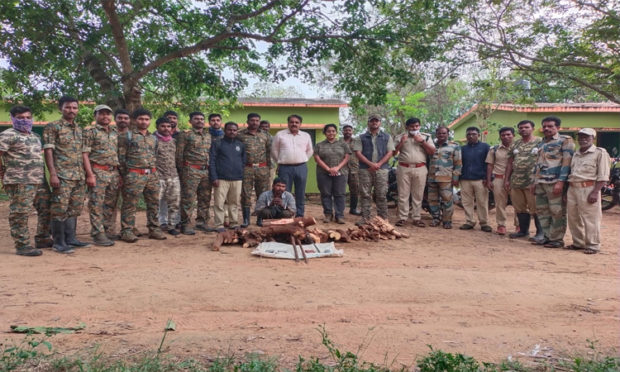 71 ಕೇಜಿ ಶ್ರೀಗಂಧ ಮರ ವಶ ಓರ್ವ ಸೆರೆ