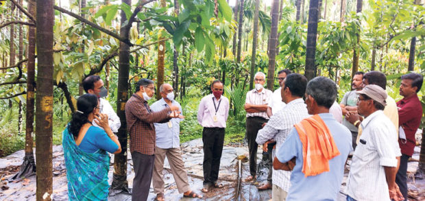 ರೋಗನಿರೋಧಕ ತಳಿ ಅಭಿವೃದ್ಧಿಗೆ ನಿರ್ಧಾರ