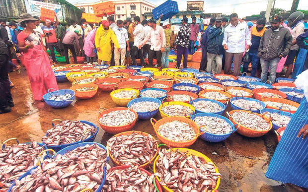 ಭರಪೂರ ಮೀನುಗಾರಿಕೆ; ಮೀನುಗಾರರಲ್ಲಿ ಮಂದಹಾಸ