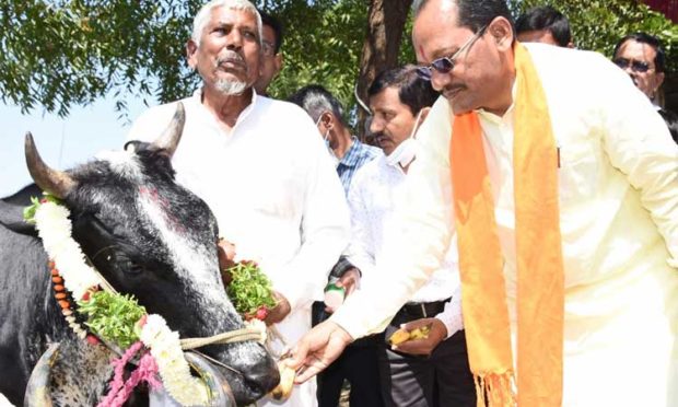 ಕಾಲು- ಬಾಯಿ ರೋಗಕ್ಕೆ ಲಸಿಕೆಯೇ ಪರಿಹಾರ: ಸಚಿವ ಪ್ರಭು ಚವ್ಹಾಣ್