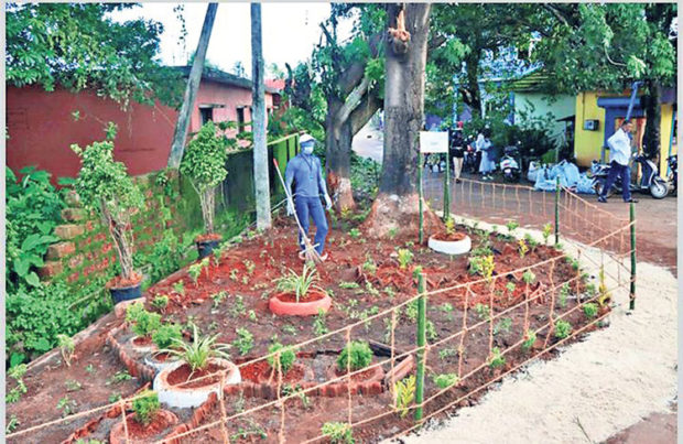 ಕಸ ಎಸೆತ ತಡೆಯಲು ಮಿನಿ ಗಾರ್ಡನ್‌