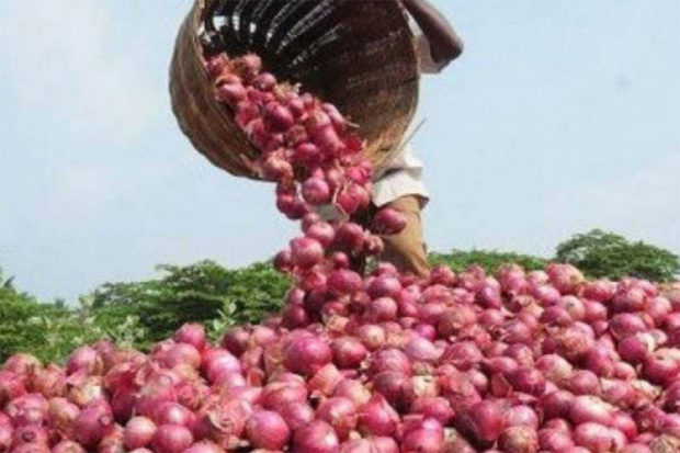 ಕೇಂದ್ರದ ಕ್ರಮದಿಂದ ಈರುಳ್ಳಿ ಬೆಲೆ ಇಳಿಕೆ