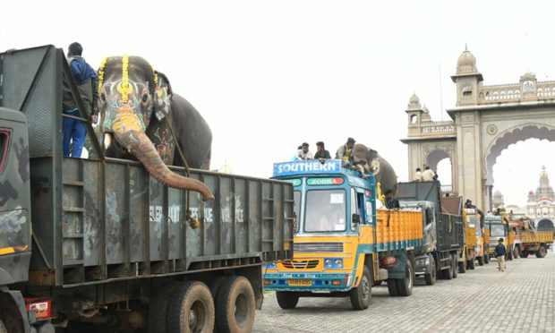 ಆನೆಗಳು ಯಶಸಿಯಾಗಿ ಜವಾಬ್ದಾರಿ ನಿರ್ವಹಿಸಿವೆ