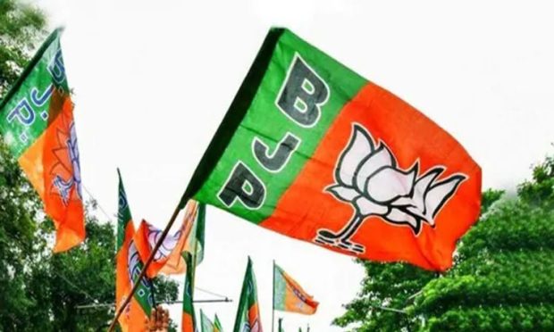 19bjp