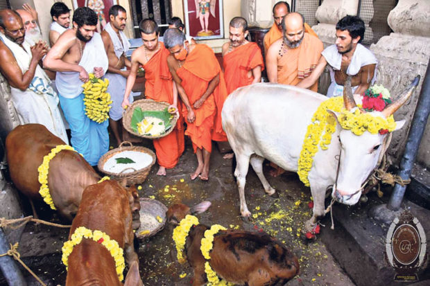 ಕರಾವಳಿಯಾದ್ಯಂತ ಭಕ್ತಿ ಸಂಭ್ರಮದ ಗೋಪೂಜೆ