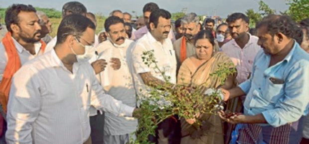 ಸಚಿವರೆದುರು ಬೆಣ್ಣೆ ತೀರದ ರೈತರ ಅಳಲು