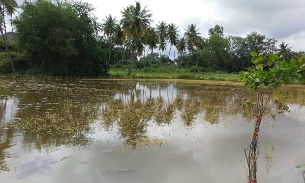 ಶೀಘ್ರ ಪರಿಹಾರ ಬಿಡುಗಡೆ: ರೇಣುಕಾಚಾರ್ಯ