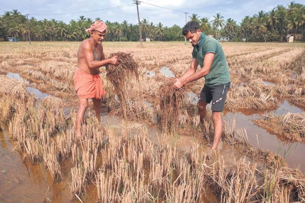 ಹಾನಿ ಸ್ಥಳಕ್ಕೆ ಬಾರದ ಅಧಿಕಾರಿಗಳು: ಆಕ್ರೋಶ