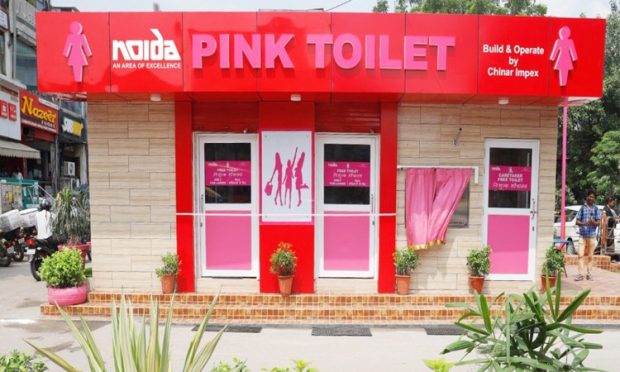 pink toilet mysore