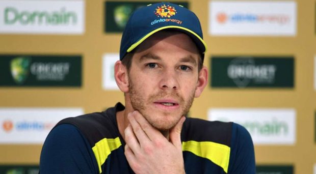 tim-paine