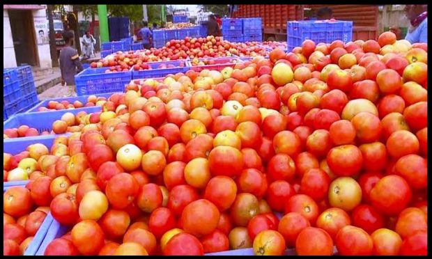 tomato price hike