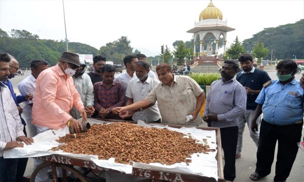 ಕಡಲೆಕಾಯಿ ಹಂಚಿ ವಾಟಾಳ್‌ ಪ್ರತಿಭಟನೆ