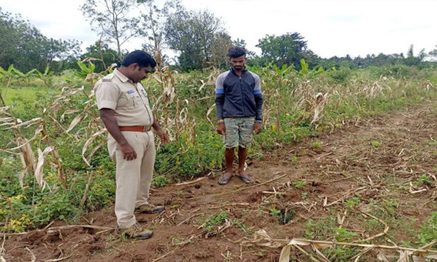 ಗ್ರಾಮ ಪರಿಮಿತಿಯಲ್ಲಿ ಹುಲಿ ಹೆಜ್ಜೆ ಪತ್ತೆ -ಆತಂಕ