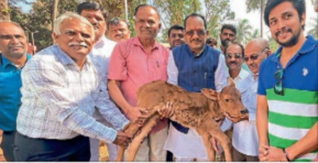 ಪ್ರತಿ ಜಿಲ್ಲೆಯಲ್ಲಿ ಗೋ ಶಾಲೆ ಪ್ರಾರಂಭ: ಚವ್ಹಾಣ