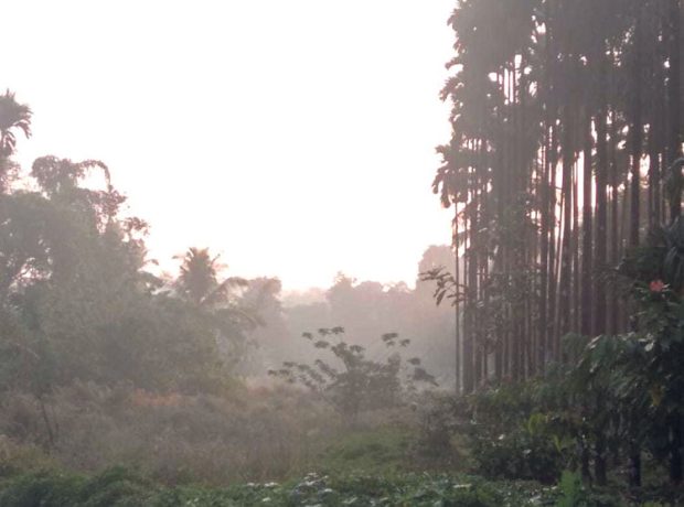 ಕರಾವಳಿಯಲ್ಲಿ ತೀವ್ರ ಚಳಿ ವಾತಾವರಣ