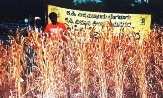 ಉತ್ತಮ ಆರೋಗ್ಯಕ್ಕೆ ಸಿರಿಧಾನ್ಯ ಬಳಸಿ: ಡಾ.ದಿನೇಶ