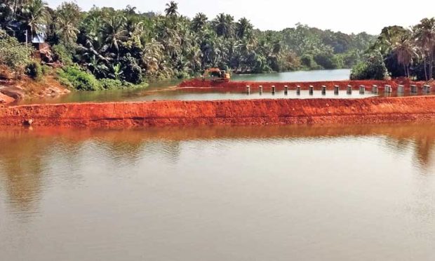 ಕುರ್ಕಾಲು: ನಾಟಿ ಮಾಡಲಾದ ಗದ್ದೆಗೆ ನುಗ್ಗಿದ ಕೃತಕ ನೆರೆ ನೀರು; ಬೆಳೆ ಹಾನಿಯ ಭೀತಿ