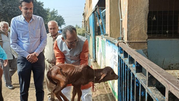 ಗೋಶಾಲೆಯ ತ್ಯಾಜ್ಯದಿಂದ ಗ್ಯಾಸ್ ಉತ್ಪಾದನೆ : ಸಚಿವ ಪ್ರಭು ಚವ್ಹಾಣ್