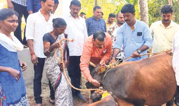 ಕಾರ್ಕಳದ ಮಹಿಳೆಯ ಕಣ್ಣೀರ ಕಥೆಗೆ ಸ್ಪಂದನೆ: ಗೋಪಾಲಕರ ರಕ್ಷಣೆಗೆ ಸರಕಾರ ಬದ್ಧ: ಸಚಿವ ಸುನಿಲ್‌