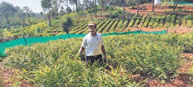 ಬರಡು ಭೂಮಿಯಲ್ಲಿ ಕೃಷಿ ಕ್ರಾಂತಿ ಮಾಡಿದ ಶಿಕ್ಷಕ ದಂಪತಿ