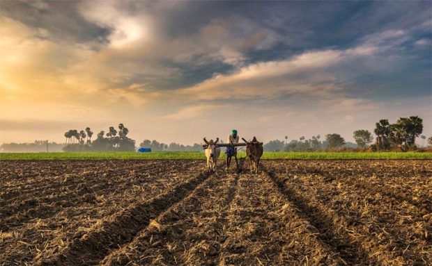 ಮುಂದಿನ ಬಜೆಟಲ್ಲಿ ಕೃಷಿಗೆ ಭರಪೂರ ಅವಕಾಶ?