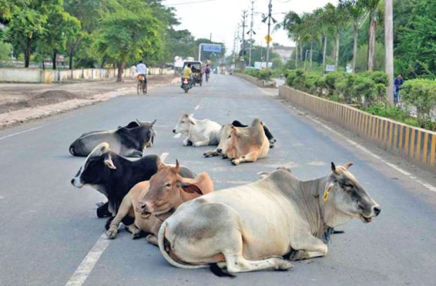 ಹೆಚ್ಚುತ್ತಿರುವ ಅಪಘಾತ ಸಂಖ್ಯೆ, ನಿಯಂತ್ರಣಕ್ಕೆ  ಬೇಕಿದೆ  ಸಮರ್ಪಕ ಕ್ರಮ