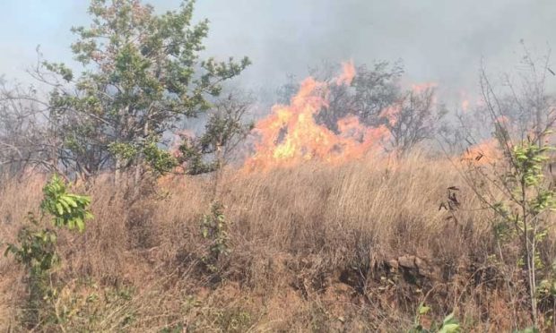 ಮಾಕಳಿ ಬೆಟ್ಟದ ತಪ್ಪಲಿನಲ್ಲಿ ಬೆಂಕಿ: ಅರಣ್ಯ ನಾಶ