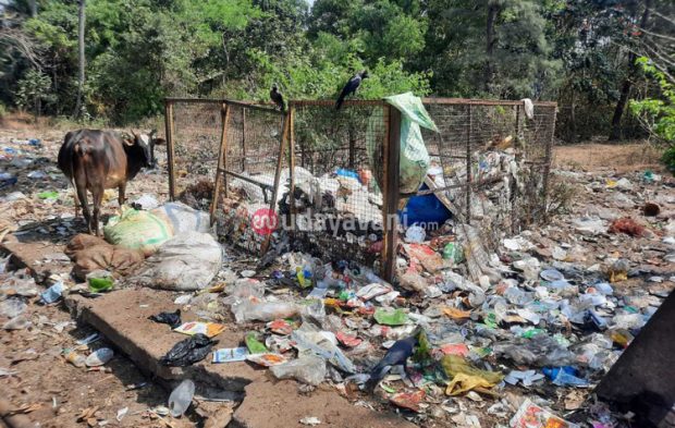 ಪಣಂಬೂರು ಬೀಚ್‌ : ವಿವಿಧೆಡೆ ತ್ಯಾಜ್ಯ ರಾಶಿ, ಮೂಲಸೌಕರ್ಯಗಳಿಲ್ಲದೆ ಸಂಕಷ್ಟ