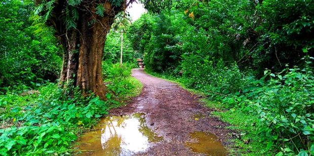 ಬಾಲ್ಯದ ಕೌತುಕ…ನಡೆದ ಹಾದಿ ತರುವ ನೆನಪುಗಳ ಮೆರವಣಿಗೆ