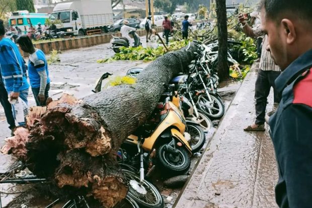 ಬೆಳಗಾವಿ: ಬಿರುಗಾಳಿ ಮಳೆಗೆ ಧರೆಗುರುಳಿದ ಮರ, ಇಬ್ಬರು ಗಂಭೀರ, 5೦ಕ್ಕೂ ಹೆಚ್ಚು ವಾಹನಗಳು ಜಖಂ