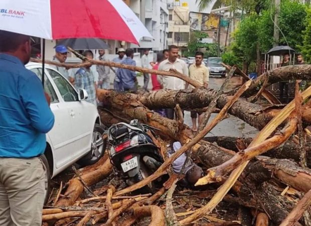 ಬೆಳಗಾವಿಯಲ್ಲಿ ಗಾಳಿ-ಮಳೆ ಅಬ್ಬರ : ಮರ ಬಿದ್ದು ಬೈಕ್ ನಲ್ಲಿ ತೆರಳುತ್ತಿದ್ದ ವ್ಯಕ್ತಿ ಸಾವು