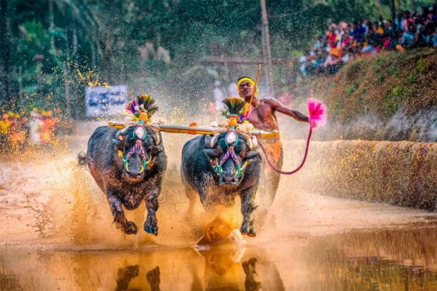 ಕಂಬಳ ಕರಡು ಬೈಲಾ, ಮಾರ್ಗಸೂಚಿ: ಸಚಿವ ಸುನಿಲ್‌ಗೆ ಭಂಡಾರಿ ಮನವಿ