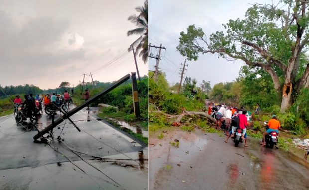 ಹುಣಸೂರು : ಬಿರುಗಾಳಿಗೆ ಧರೆಗುರುಳಿದ ಮರಗಳು, ವಿದ್ಯುತ್ ಕಂಬ : ಲಕ್ಷಾಂತರ ರೂ. ನಷ್ಟ