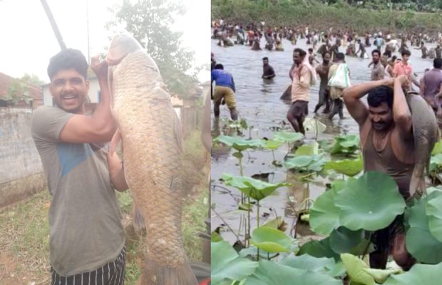 ಸಾಗರ : ನೋಡುಗರ ಕಣ್ಮನ ಸೆಳೆದ ಕೆರೆಬೇಟೆ ಹಬ್ಬ ; ಇದು ಮಲೆನಾಡು ಭಾಗದ ಜನರ ಸಂಸ್ಕೃತಿ