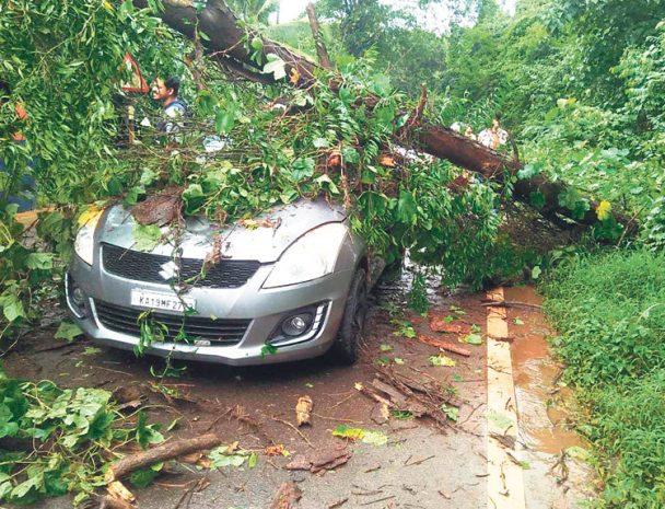 ಕರಾವಳಿಯಲ್ಲಿ ಸಾಧಾರಣ ಮಳೆ: ಚಲಿಸುತ್ತಿದ್ದ ಕಾರಿನ ಮೇಲೆ ಬಿದ್ದ ಮರ