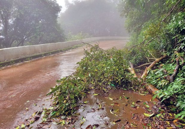 ನಾಗೋಡಿ ಘಾಟಿ ರಸ್ತೆಯಲ್ಲೂ ವಾಹನಗಳ ಒತ್ತಡ: ಕುಸಿಯುವ ಭೀತಿ; ಸಂಚಾರ ಸಂಕಷ್ಟ