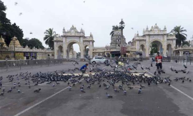 ಅರಮನೆ ಮುಂಭಾಗದ ಪಾರಿವಾಳಗಳನ್ನು ಸ್ಥಳಾಂತರಿಸಿ; ಆಯುಕ್ತರಿಗೆ ಬರೆದ ಪತ್ರದಲ್ಲೇನಿದೆ?