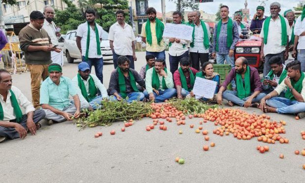 ಟೊಮೆಟೋ ಕೆ.ಜಿ.ಗೆ 10ರೂ. ಬೆಂಬಲ ಬೆಲೆ ಘೋಷಿಸಿ