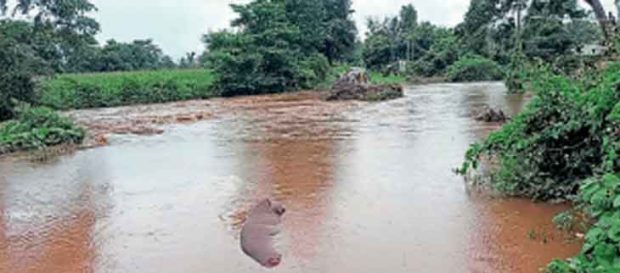 ಮಳೆ: ಕರ್ನಾಟಕ – ತಮಿಳುನಾಡು ರಸ್ತೆ ಸಂಪರ್ಕ ಕಡಿತ; ಸಂಚಾರ ಬಂದ್‌