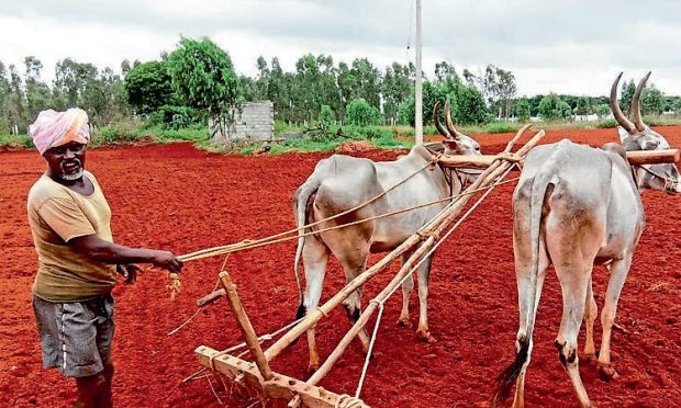 ಜಿಲ್ಲೆಯಲ್ಲಿ ಗರಿಗೆದರಿದ ಕೃಷಿ ಚಟುವಟಿಕೆ