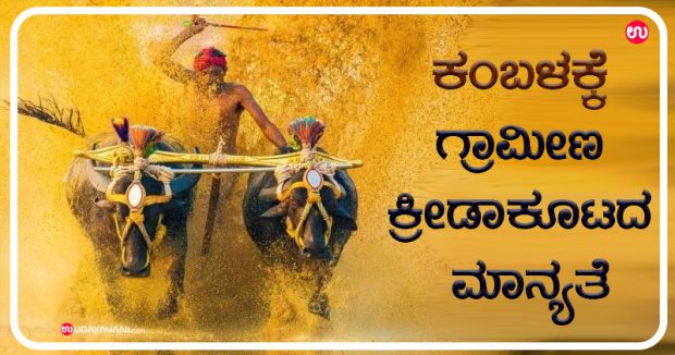 news kambala news