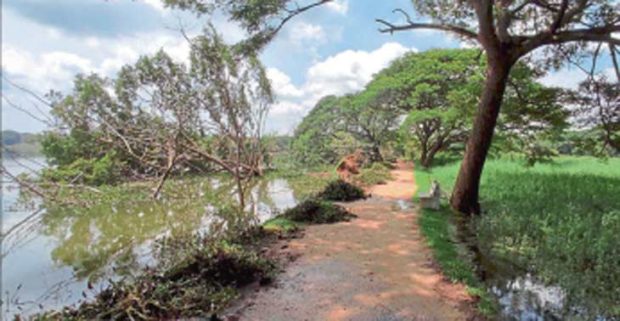 ಮೈಸೂರಿನ ಕುಕ್ಕರಹಳ್ಳಿ ಕೆರೆ ಸಂಪೂರ್ಣ ಭರ್ತಿ