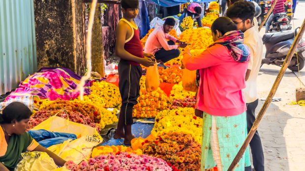 ಮಂಗಳೂರು/ಉಡುಪಿ : ಇಂದಿನಿಂದ ಎಲ್ಲೆಡೆ ದೀಪಾವಳಿ ಸಂಭ್ರಮ