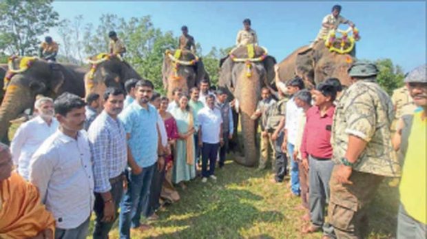 ನರಹಂತಕ ಭೈರ ಕಾಡಾನೆ ಸೆರೆಗೆ ಸಕಲ ಸಿದ್ಧತೆ