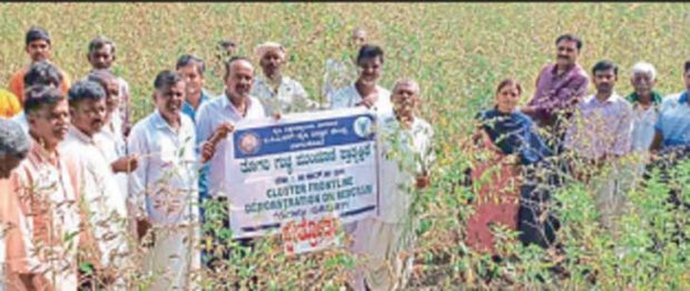 ಬಾಗಲಕೋಟೆ:ಸಮರ್ಪಕವಾಗಿ ತೊಗರಿ ಬೆಳೆ ನಿರ್ವಹಣೆ ಮಾಡಿ