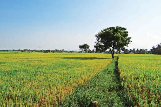 ನೀವೂ ಭೂ ಒಡೆಯ ಆಗಿ…ಎಲ್ಲಿದೆ ಮಾಹಿತಿ!