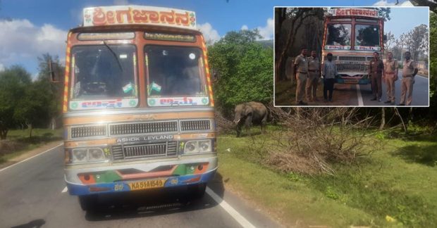 ಕಾಡಾನೆಗೆ ಕಬ್ಬು ನೀಡಲು ಹೋಗಿ 75 ಸಾವಿರ ರೂ. ದಂಡ ಕಟ್ಟಿದ ಲಾರಿ ಚಾಲಕ