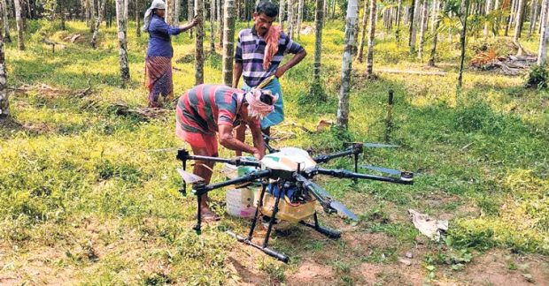 ಡ್ರೋನ್‌ನಿಂದ ಎಲೆಚುಕ್ಕಿ ರೋಗಕ್ಕೆ ಔಷಧ: ಬೆಳ್ತಂಗಡಿಯಲ್ಲಿ ಯಶಸ್ವಿ