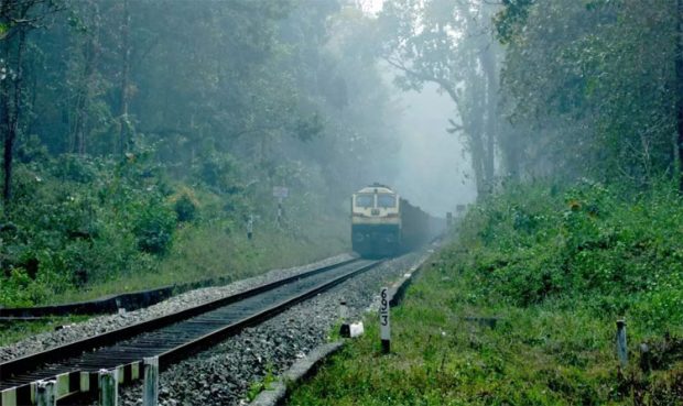 ಉತ್ತರ ಪ್ರದೇಶ: ಬಿಡಾಡಿ ದನಗಳನ್ನು ಹಳಿಗೆ ತಳ್ಳಿದ‌ ರೈತರು!